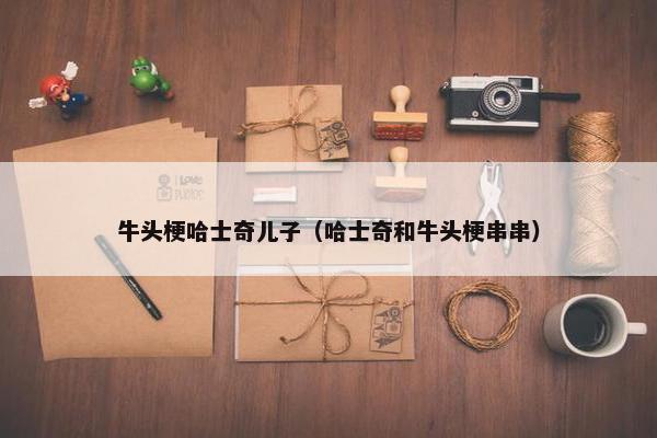 牛头梗哈士奇儿子（哈士奇和牛头梗串串）
