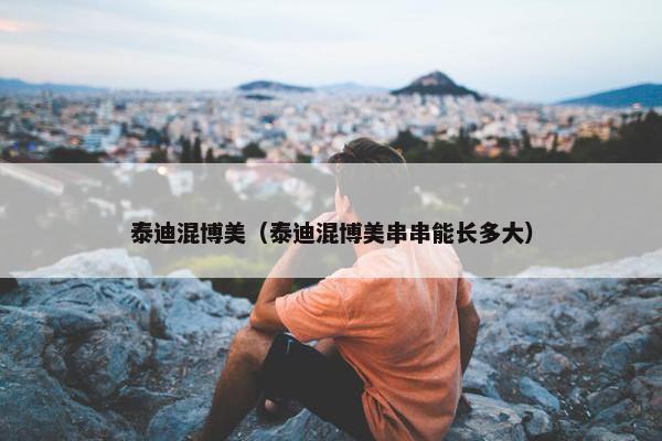 泰迪混博美（泰迪混博美串串能长多大）