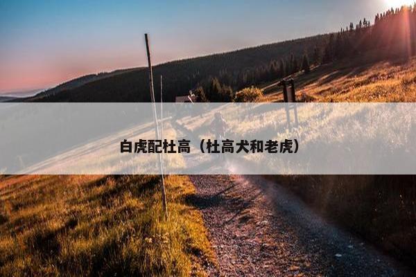 白虎配杜高（杜高犬和老虎）