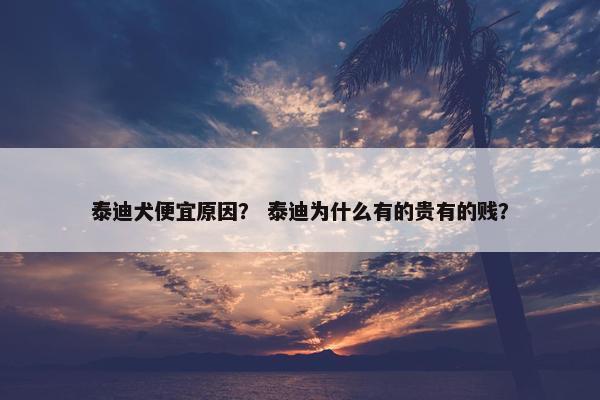 泰迪犬便宜原因？ 泰迪为什么有的贵有的贱？