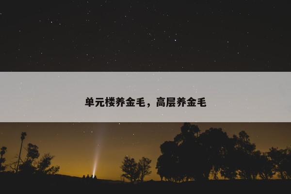 单元楼养金毛，高层养金毛
