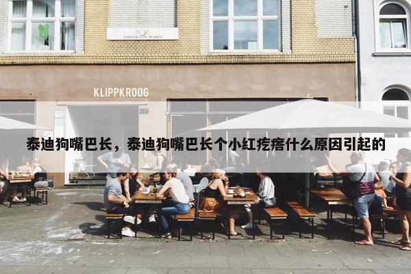 泰迪狗嘴巴长，泰迪狗嘴巴长个小红疙瘩什么原因引起的