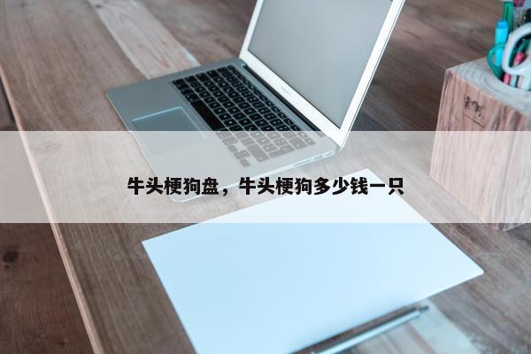 牛头梗狗盘，牛头梗狗多少钱一只