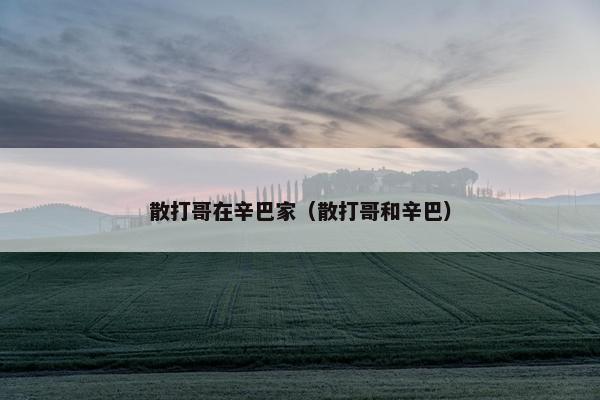 散打哥在辛巴家（散打哥和辛巴）