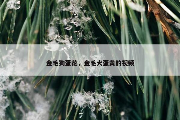 金毛 第18页