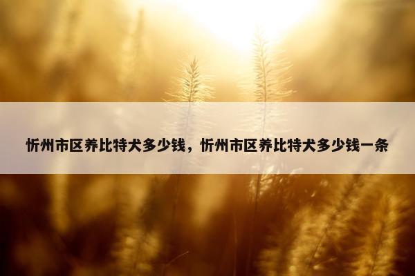 忻州市区养比特犬多少钱，忻州市区养比特犬多少钱一条