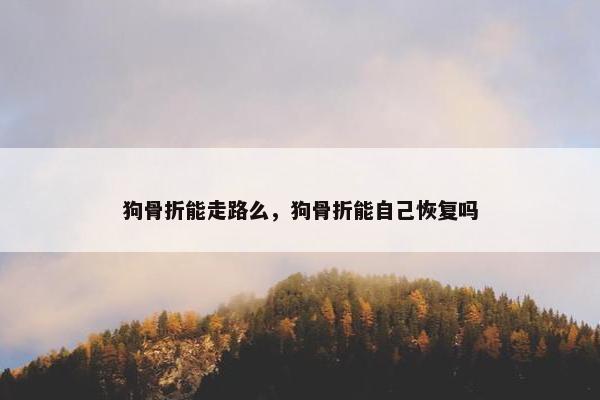 狗骨折能走路么，狗骨折能自己恢复吗