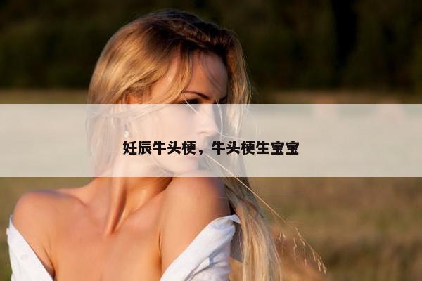 妊辰牛头梗，牛头梗生宝宝