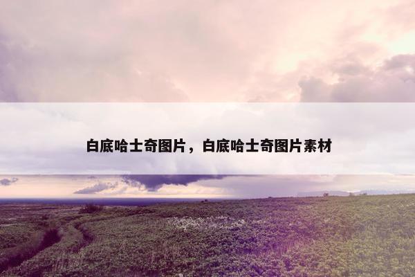 白底哈士奇图片，白底哈士奇图片素材