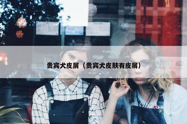 贵宾犬皮屑（贵宾犬皮肤有皮屑）