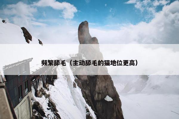 频繁舔毛（主动舔毛的猫地位更高）