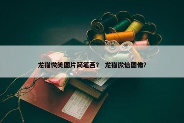 龙猫微笑图片简笔画？ 龙猫微信图像？
