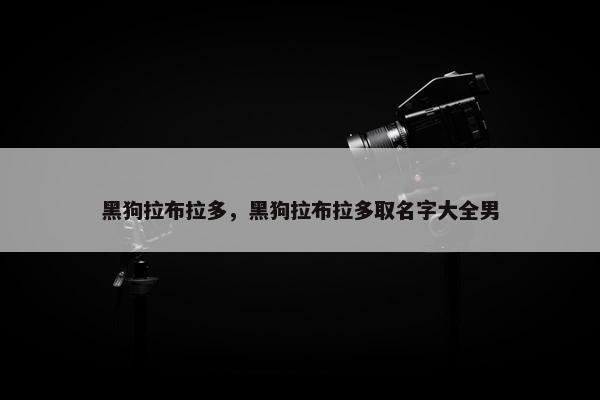 黑狗拉布拉多，黑狗拉布拉多取名字大全男