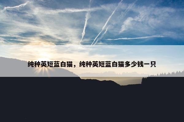 纯种英短蓝白猫，纯种英短蓝白猫多少钱一只