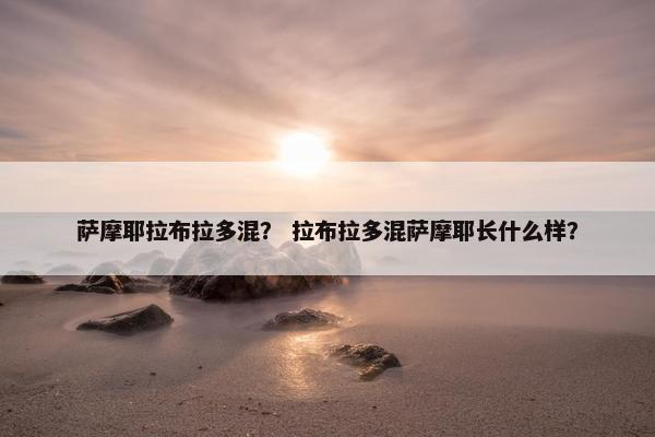 萨摩耶 第23页