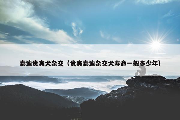 贵宾 第7页