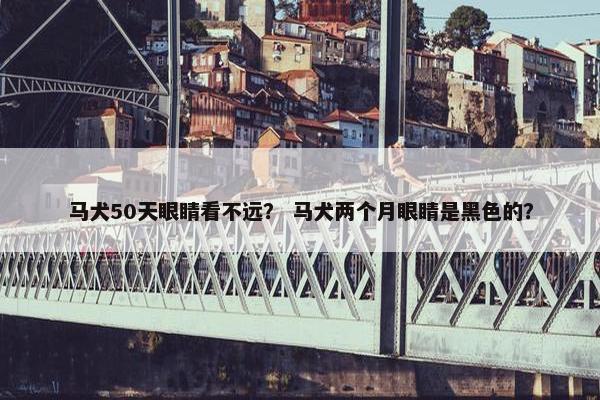 马犬50天眼睛看不远？ 马犬两个月眼睛是黑色的？