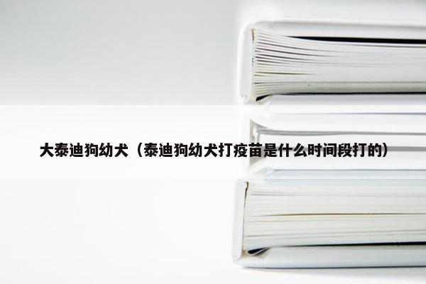 大泰迪狗幼犬（泰迪狗幼犬打疫苗是什么时间段打的）