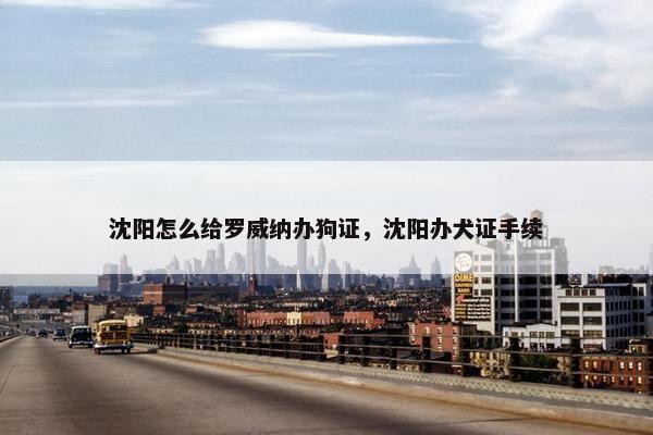 沈阳怎么给罗威纳办狗证，沈阳办犬证手续