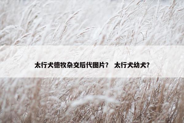 太行犬德牧杂交后代图片？ 太行犬幼犬？