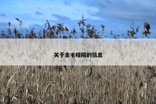 金毛 第37页