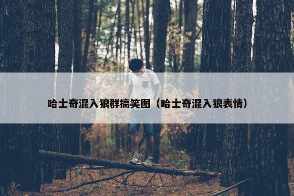 哈士奇混入狼群搞笑图（哈士奇混入狼表情）