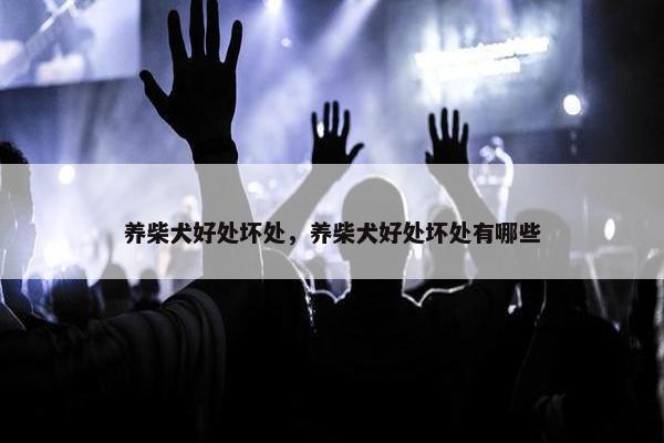 养柴犬好处坏处，养柴犬好处坏处有哪些