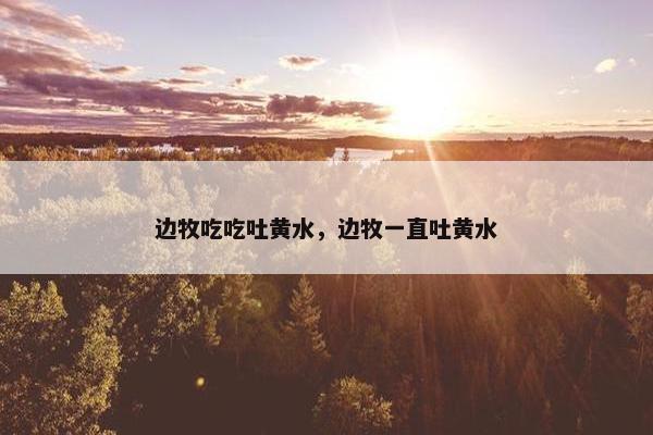 边牧吃吃吐黄水，边牧一直吐黄水