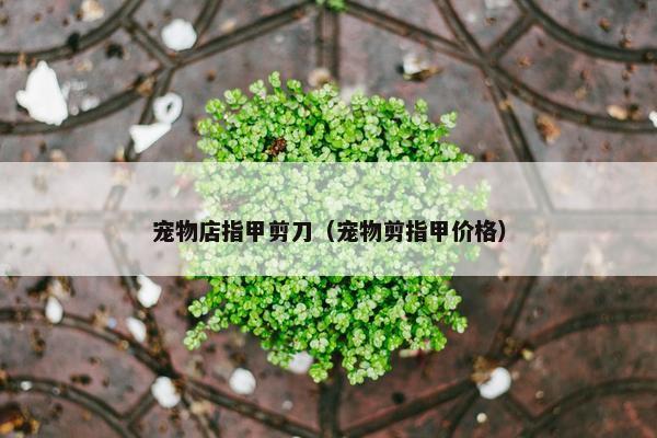 宠物店指甲剪刀（宠物剪指甲价格）