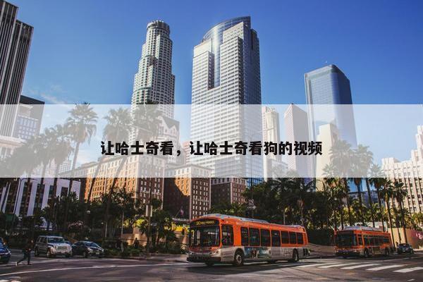 让哈士奇看，让哈士奇看狗的视频