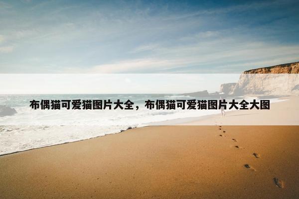 布偶猫可爱猫图片大全，布偶猫可爱猫图片大全大图