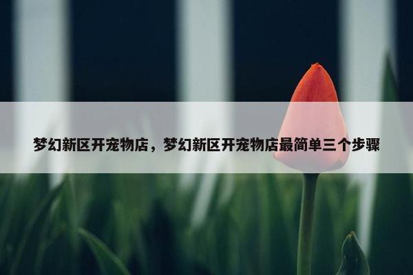 梦幻新区开宠物店，梦幻新区开宠物店最简单三个步骤