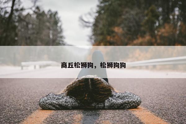 商丘松狮狗，松狮狗狗
