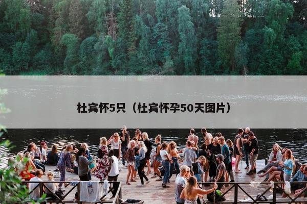杜宾怀5只（杜宾怀孕50天图片）