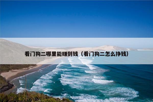 看门狗二哪里能赚到钱（看门狗二怎么挣钱）