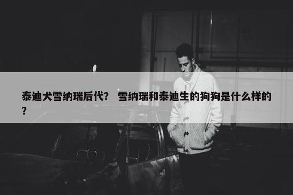 泰迪犬雪纳瑞后代？ 雪纳瑞和泰迪生的狗狗是什么样的？