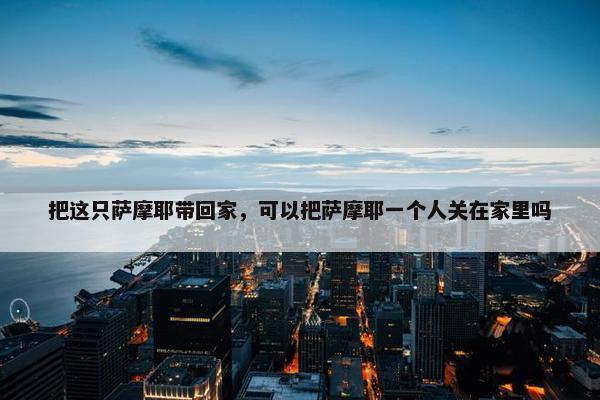 把这只萨摩耶带回家，可以把萨摩耶一个人关在家里吗