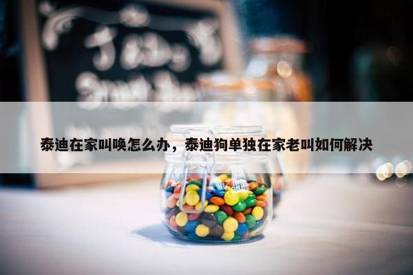 泰迪在家叫唤怎么办，泰迪狗单独在家老叫如何解决