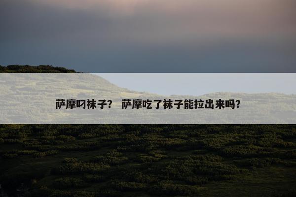 萨摩叼袜子？ 萨摩吃了袜子能拉出来吗？