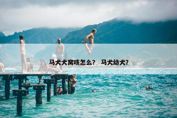 马犬犬窝咳怎么？ 马犬幼犬？