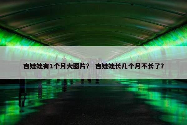 吉娃娃有1个月大图片？ 吉娃娃长几个月不长了？