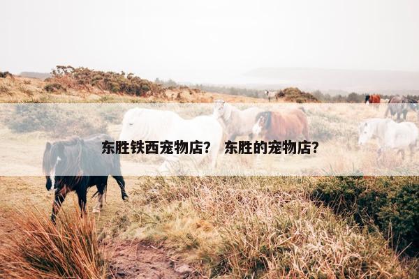东胜铁西宠物店？ 东胜的宠物店？