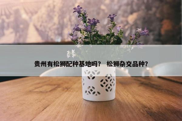 贵州有松狮配种基地吗？ 松狮杂交品种？