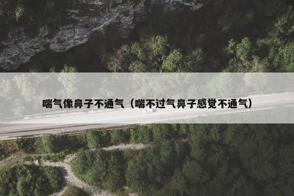 喘气像鼻子不通气（喘不过气鼻子感觉不通气）
