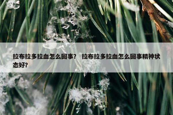 拉布拉多拉血怎么回事？ 拉布拉多拉血怎么回事精神状态好？