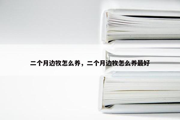 二个月边牧怎么养，二个月边牧怎么养最好