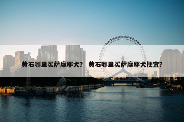 黄石哪里买萨摩耶犬？ 黄石哪里买萨摩耶犬便宜？