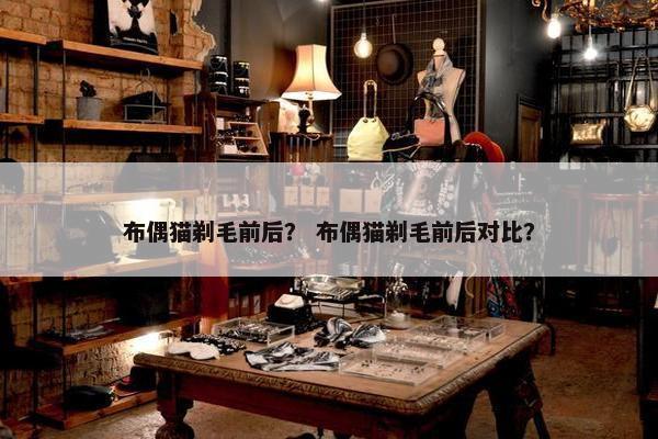 布偶猫剃毛前后？ 布偶猫剃毛前后对比？