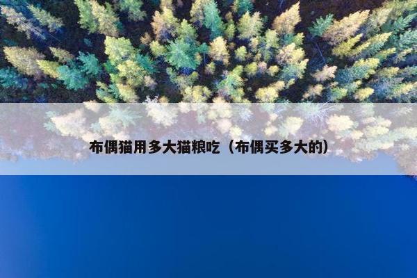 布偶猫用多大猫粮吃（布偶买多大的）