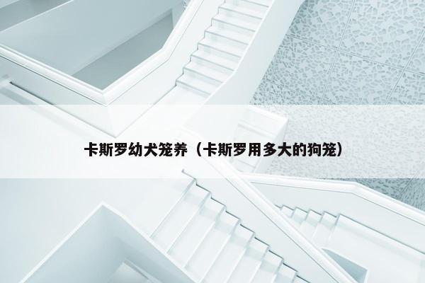 卡斯罗幼犬笼养（卡斯罗用多大的狗笼）